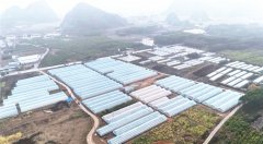 <b>代表工做-宾客网</b>